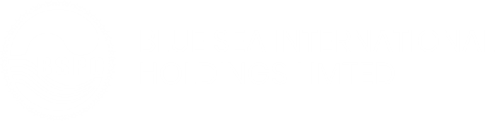 Blue Sea International Holdings