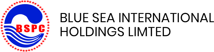 Blue Sea International Holdings